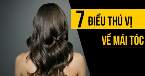 7 điều thú vị về TÓC mà bạn không hề biết