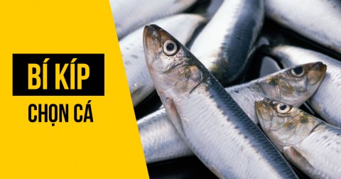 6 bước giúp bạn không chọn nhầm cá ươn