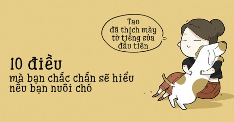 10 bức ảnh mà chỉ những người nuôi chó mới hiểu