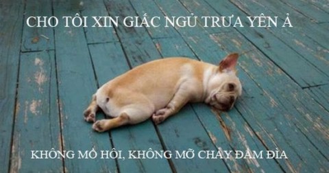 Cách giúp bạn sống sót mà không cần đến điều hòa