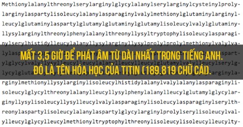 10 sự thật thú vị về tiếng Anh có thể bạn chưa biết