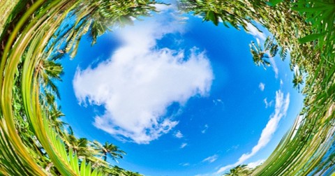 Loài vật nhìn thế giới như thế nào?