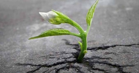 Hãy đọc những dòng này khi bạn rơi vào hố sâu tuyệt vọng