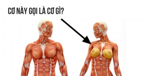 Chỉ 4% người trả lời đúng 10 câu hỏi này. Bạn thì sao?