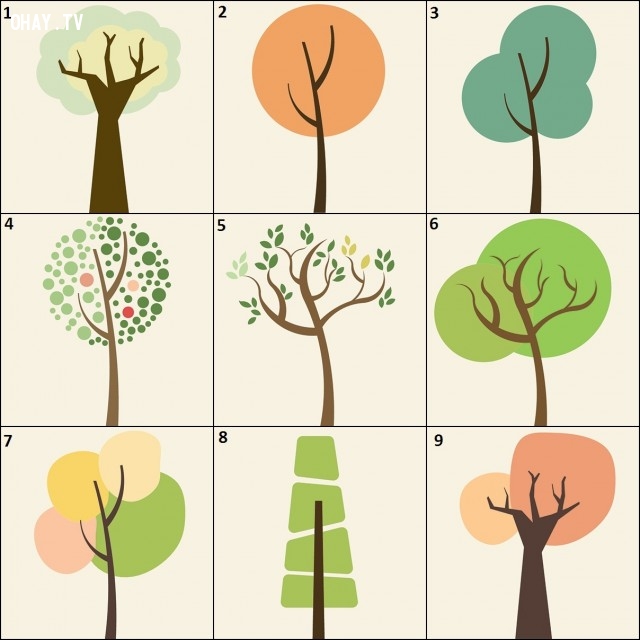 Hướng dẫn vẽ sơ đồ tư duy hình cái cây dễ và nhanh nhất  Nội Thất Hằng  Phát  Dịch Vụ Bách khoa Sửa Chữa Chuyên nghiệp