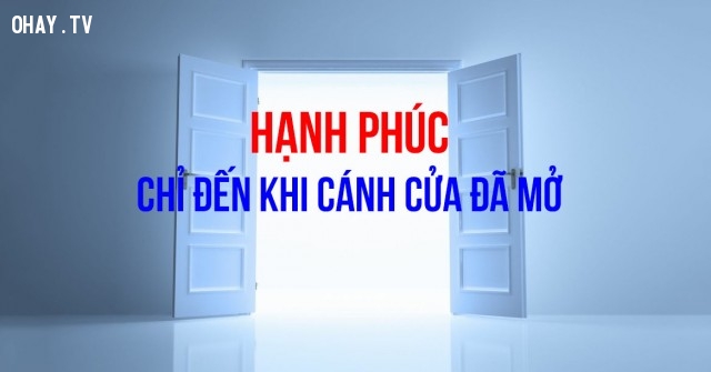 3117 4c1fd9ee8748a52089a7e99e66930f6d -danhngon24h