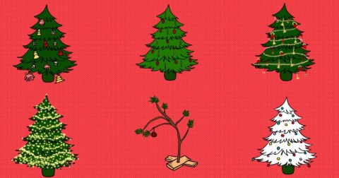 Chọn cây thông Noel đoán tính cách của bạn