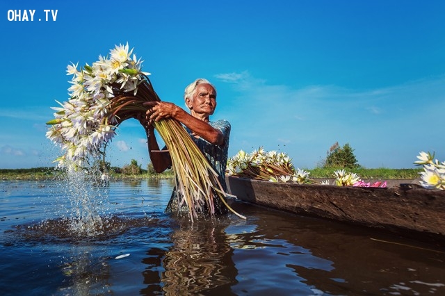 22 hình ảnh tuyệt đẹp về đất nước, con người Việt Nam - GiangIMGs