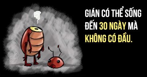 32 sự thật có thể bạn chưa biết