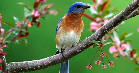 15 bức hình đẹp nhất của National Geographic trong năm