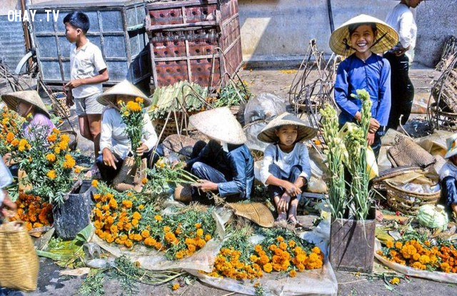 Bán hoa vạn thọ dịp Tết Kỷ Dậu 1969 Bán hoa vạn thọ dịp Tết Kỷ Dậu 1969,Bến Tre xưa,Xứ dừa,hình xưa,ảnh cổ,ảnh lịch sử
