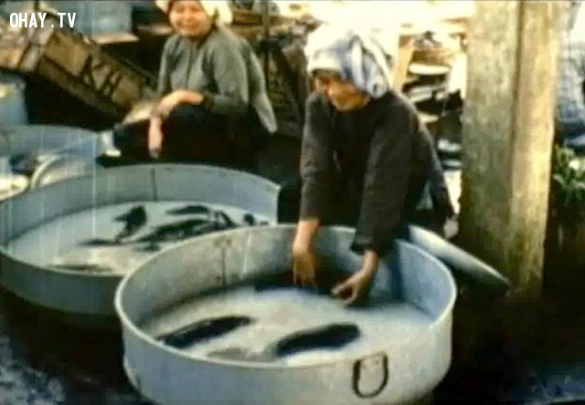Chợ cá bến lở 1966 Chợ cá bến lở 1966,Bến Tre xưa,Xứ dừa,hình xưa,ảnh cổ,ảnh lịch sử