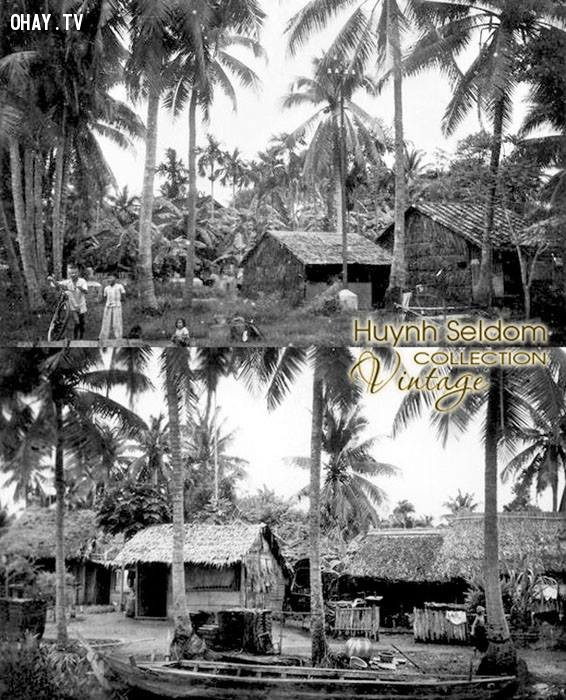 Làng quê xứ dừa thập niên 70-80,Bến Tre xưa,Xứ dừa,hình xưa,ảnh cổ,ảnh lịch sử