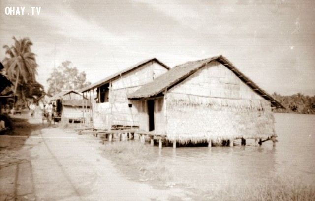 Đoạn gần cầu Kiến Vàng Đoạn gần cầu Kiến Vàng,Bến Tre xưa,Xứ dừa,hình xưa,ảnh cổ,ảnh lịch sử