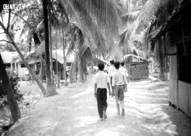 Trường tiểu học Nhơn Thạnh - 1990 Trường tiểu học Nhơn Thạnh - 1990,Bến Tre xưa,Xứ dừa,hình xưa,ảnh cổ,ảnh lịch sử