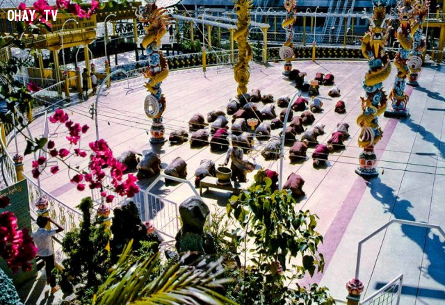 Thần dân của ông Nguyễn Thành Nam đang làm lễ năm 1969 Thần dân của ông Nguyễn Thành Nam đang làm lễ năm 1969,Bến Tre xưa,Xứ dừa,hình xưa,ảnh cổ,ảnh lịch sử