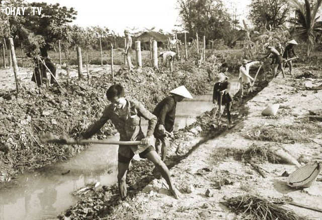 Người Việt đào kênh tưới nước tại tỉnh Kiến Hòa, năm 1961 Người Việt đào kênh tưới nước tại tỉnh Kiến Hòa, năm 1961,Bến Tre xưa,Xứ dừa,hình xưa,ảnh cổ,ảnh lịch sử