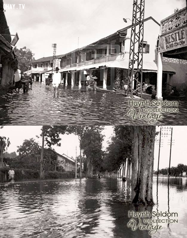 Đường Hùng Vương và 1 góc chợ Bến Tre bị ngập lụt thời Pháp năm 1948 Đường Hùng Vương và 1 góc chợ Bến Tre bị ngập lụt thời Pháp năm 1948,Bến Tre xưa,Xứ dừa,hình xưa,ảnh cổ,ảnh lịch sử