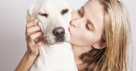 Thói quen của con người khiến những chú chó thấy khó chịu