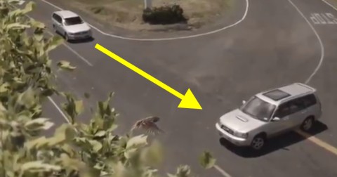 Nổi da gà với video tuyên truyền an toàn giao thông