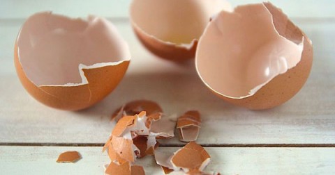 Vỏ trứng có thể ăn được không?