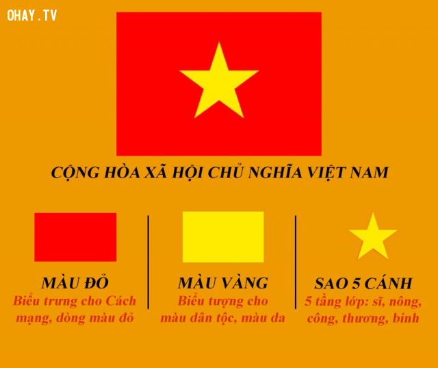 Ý nghĩa quốc kỳ: Mỗi quốc gia trên thế giới đều có một quốc kỳ đặc trưng với ý nghĩa riêng. Quốc kỳ Việt Nam cũng không ngoại lệ. Hãy cùng nhau tìm hiểu về sự kiên cường và tình yêu quê hương của người Việt Nam thông qua Quốc kỳ. Đó là biểu tượng của sự tự hào và tình yêu của người dân Việt Nam đối với đất nước thân yêu.