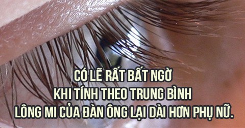 25 điểm khác biệt về mặt sinh học giữa đàn ông và phụ nữ