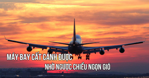 Những câu trích dẫn hay về cuộc sống (Việt - Anh) - Phần 2