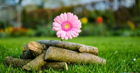 7 cách để biến cuộc sống tẻ nhạt trở nên đúng vị bạn cần!