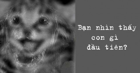 Bức tranh cho biết bạn có tài quản lý không
