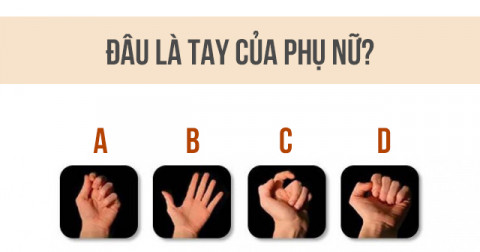 Trắc nghiệm tâm lý: Theo bạn đâu mới là bàn tay của phái nữ?