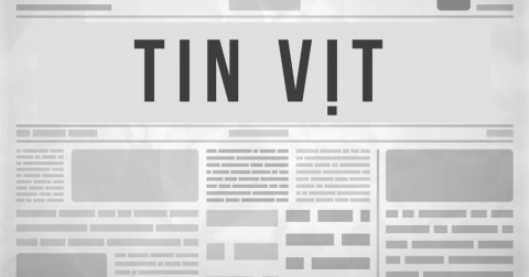 Cách để nhận biết tin vịt