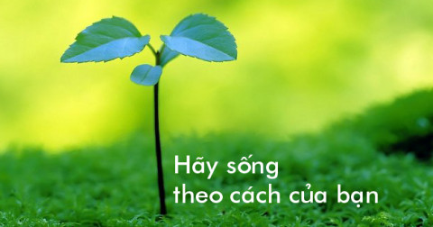 Kết quả hình ảnh cho phong cách sá»ng