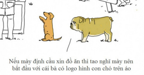 Hóa ra đây mới là suy nghĩ thực sự của động vật