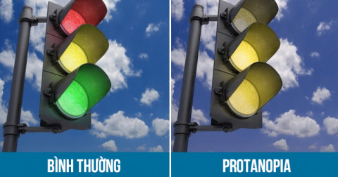 Những người mắc hội chứng mù màu nhìn thế giới như thế nào?