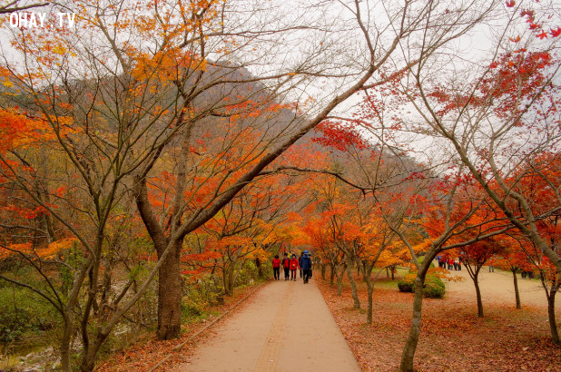 Vườn quốc gia Naejangsan, Jeolla Buk Do Vườn quốc gia Naejangsan, Jeolla Buk Do,
