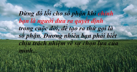 10 câu nói giúp bạn tự nhìn nhận bản thân và bớt ảo tưởng vào cuộc sống - TÂM DI