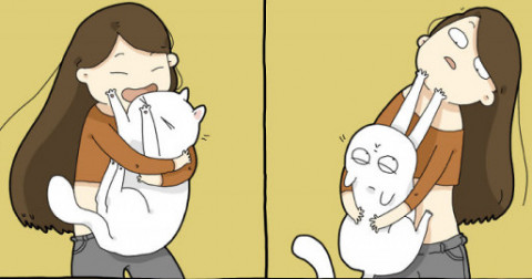 Cuộc sống thú vị khi nuôi một chú mèo!