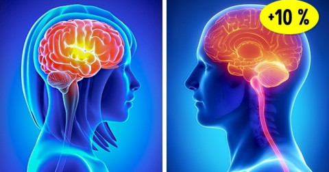 10 điều mà tạo hóa đã ưu ái hơn cho đàn ông