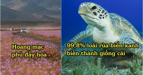Giật mình những hiện tượng kỳ quái đang xảy ra khắp nơi trên thế giới