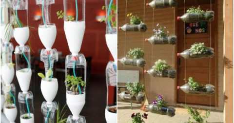 11 giải pháp 'sống xanh, sống sạch' để cứu rỗi cả Trái đất lẫn bản thân chúng ta