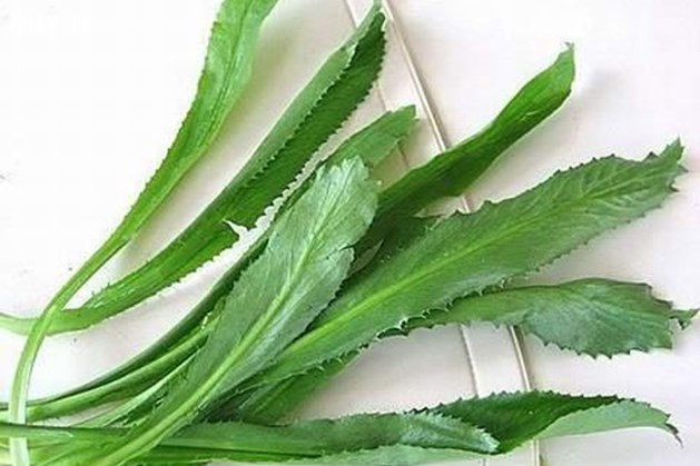 Lá ngò gai - Phương pháp từ thiên nhiên Lá ngò gai - Phương pháp từ thiên nhiên,