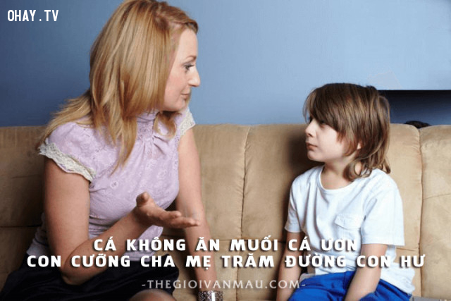 Đã nói không ăn đồ thừa rồi, sao cứ mãi không nghe. Đã nói không ăn đồ thừa rồi, sao cứ mãi không nghe.,