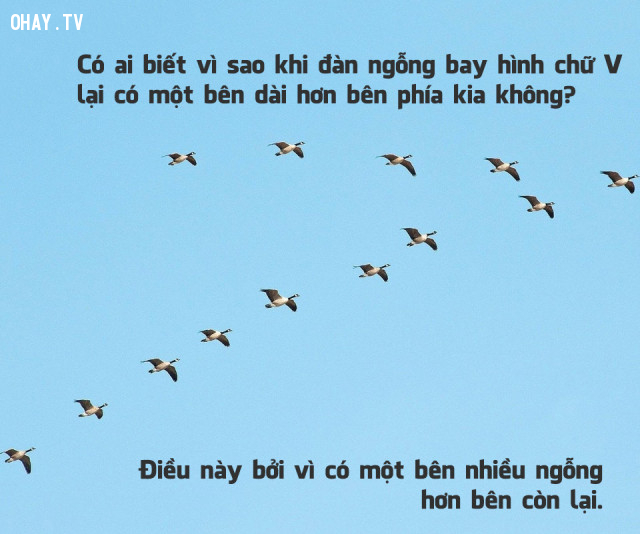 Hơn cả những gì bạn biết
