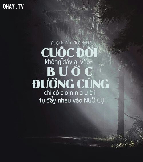 29 câu nói ngôn tình bất hủ thậm thấu lòng người đọc