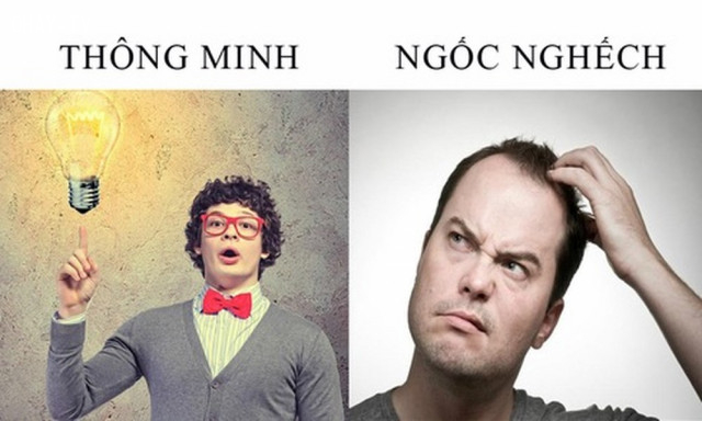 4) Quá thông minh sẽ bị người khác ghen tỵ, còn quá ngu ngốc sẽ bị người khác xem thường. 4) Quá thông minh sẽ bị người khác ghen tỵ, còn quá ngu ngốc sẽ bị người khác xem thường.,triết lý cá nhân,triết lý cuộc sống