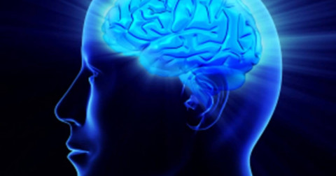 12 loại thực phẩm giúp bạn tăng cường trí thông minh