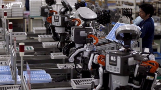 Robot sẽ lấy mất công việc của chúng ta. Robot sẽ lấy mất công việc của chúng ta.,