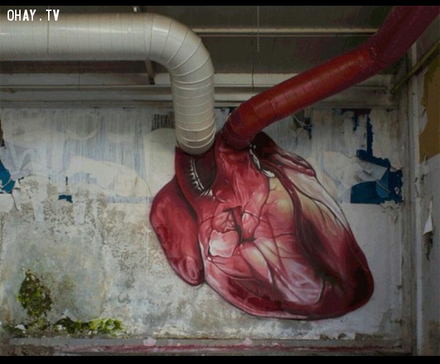 Một bức ảnh graffiti thú vị