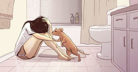 Một loạt minh họa cảm động về tình bạn giữa một cô gái và một chú chó.